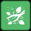 journey icon